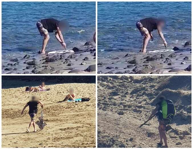 Collage de fotos de la acción del pescador submarino furtivo/TA.